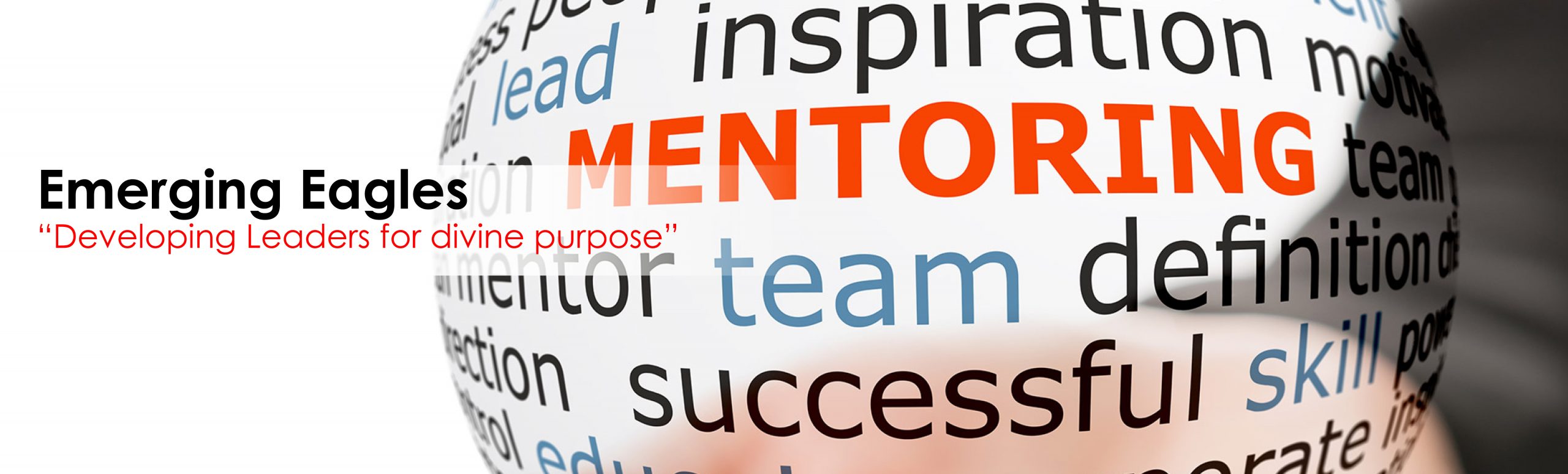 Emerging Eagles banner